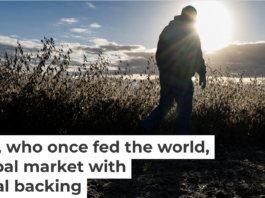 American farmers face a changing future for their businesses. Roberto Schmidt/AFP via Getty Images